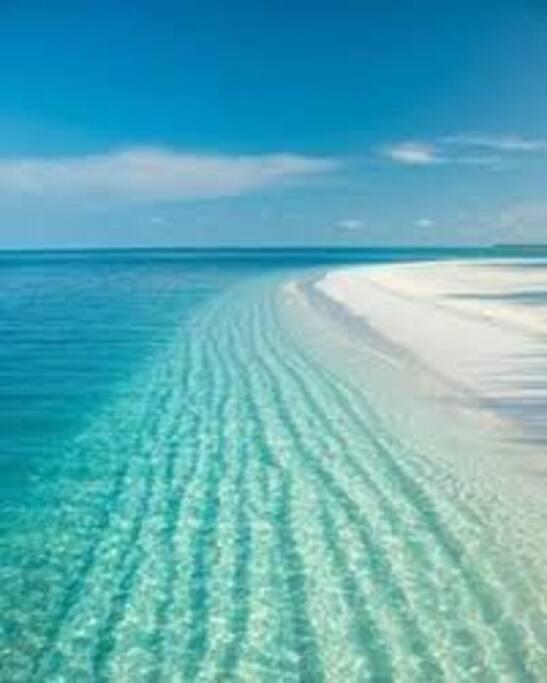 Rowena House 2Bd Den 2Bth Heated Pool Near Siesta Key Villa Sarasota Buitenkant foto
